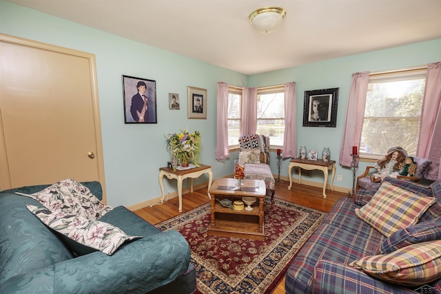 living room with baseboards, wood finished floors, and a wealth of natural light