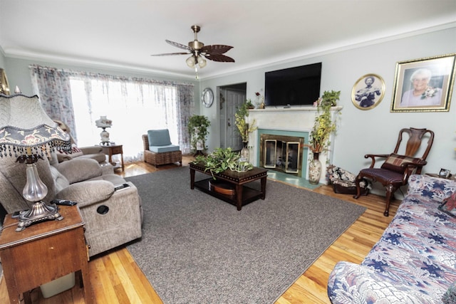 living area featuring crown molding, a ceiling fan, and wood finished floors