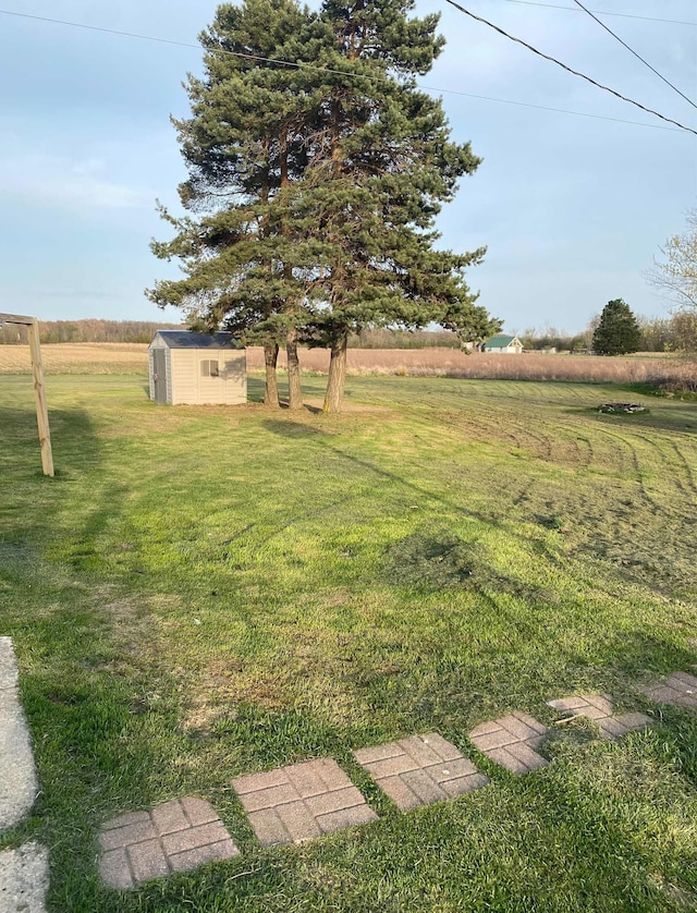 view of yard with a storage shed and an outbuilding