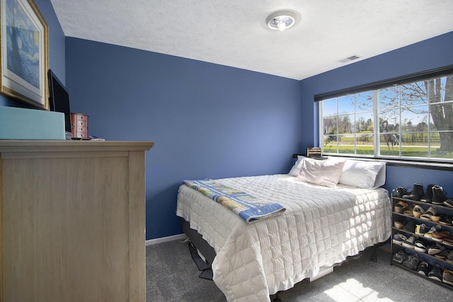 1077 Sun Valley Ln, Allegan, MI 49010 - bedroom featuring visible vents, a textured ceiling, carpet, and baseboards