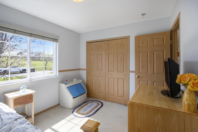 1077 Sun Valley Ln, Allegan, MI 49010 - bedroom with carpet floors, baseboards, and a closet