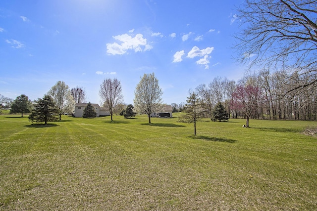 1077 Sun Valley Ln, Allegan, MI 49010 - view of yard