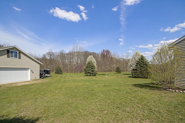 1077 Sun Valley Ln, Allegan, MI 49010 - view of yard