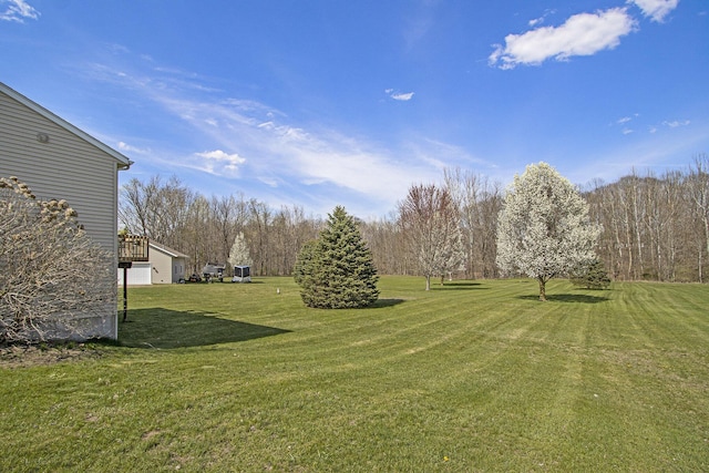 1077 Sun Valley Ln, Allegan, MI 49010 - view of yard