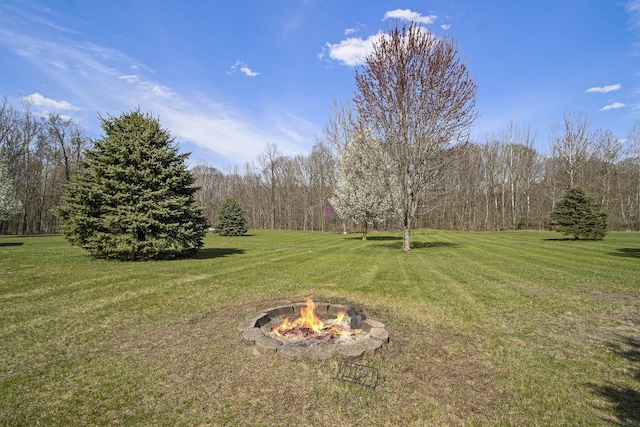 1077 Sun Valley Ln, Allegan, MI 49010 - view of yard with a fire pit and a forest view