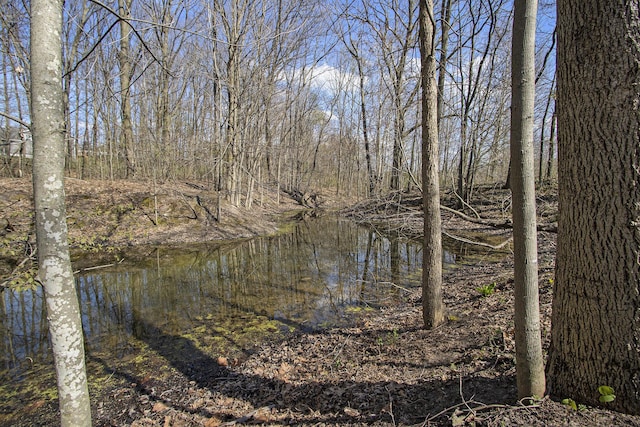 1077 Sun Valley Ln, Allegan, MI 49010 - view of water feature