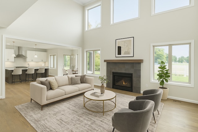 living room featuring a healthy amount of sunlight, baseboards, a high ceiling, and light wood-type flooring