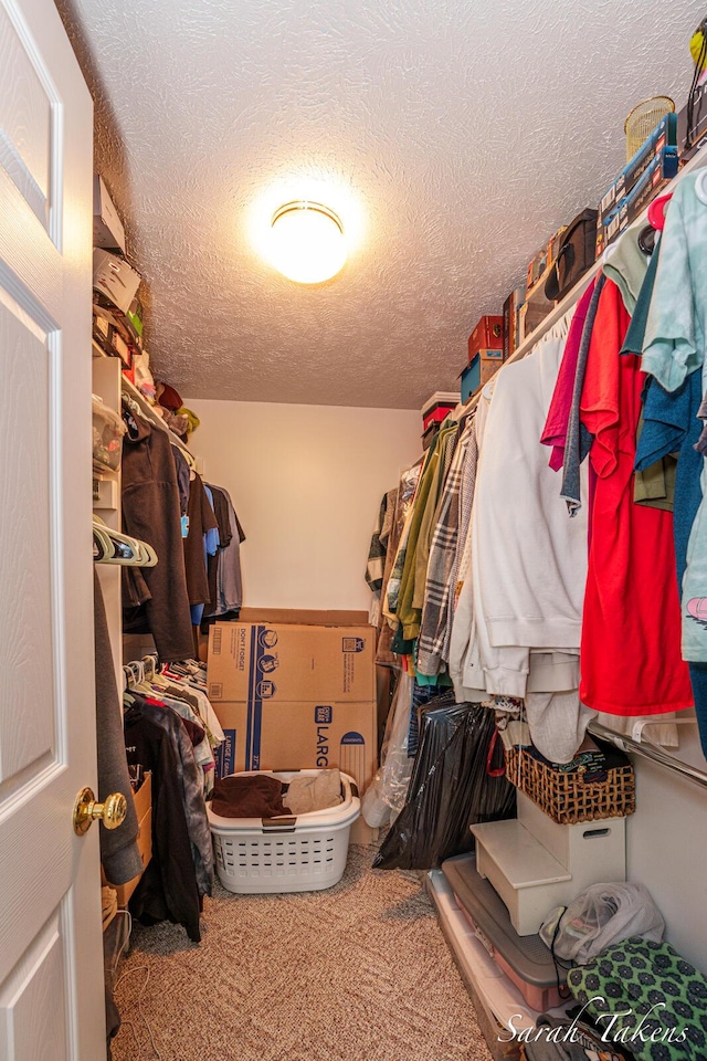 spacious closet with carpet flooring