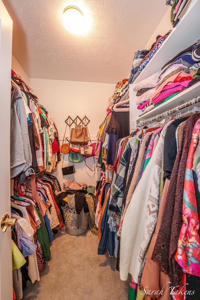 walk in closet with carpet floors