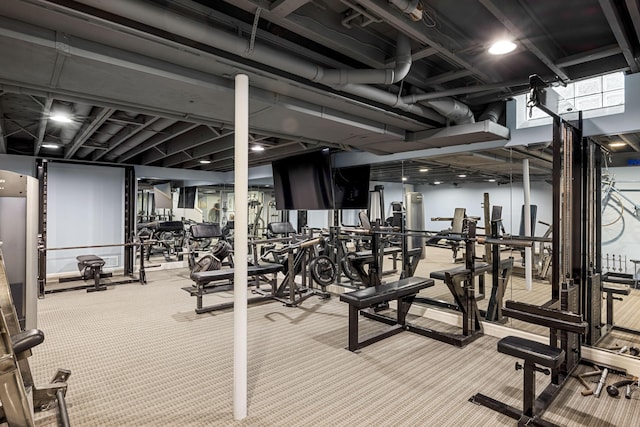 gym featuring carpet