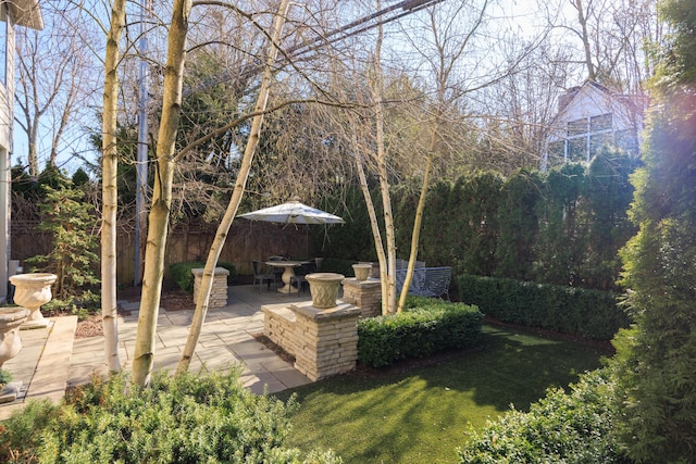 view of yard featuring a patio and fence