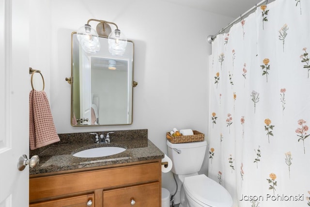 bathroom featuring vanity, toilet, and a shower with curtain