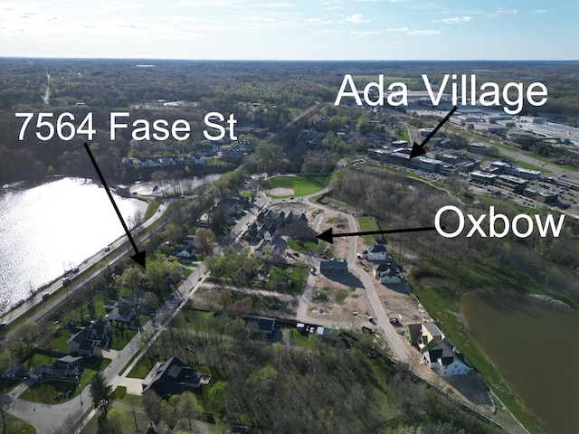 drone / aerial view