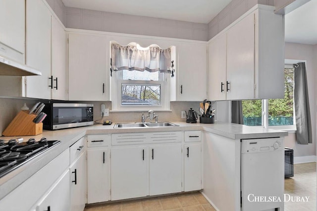 kitchen featuring stainless steel microwave, plenty of natural light, a sink, and dishwasher