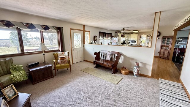 7736 S Custer Rd, Monroe, MI 48161 - living area with carpet flooring, a textured ceiling, ceiling fan, and baseboards