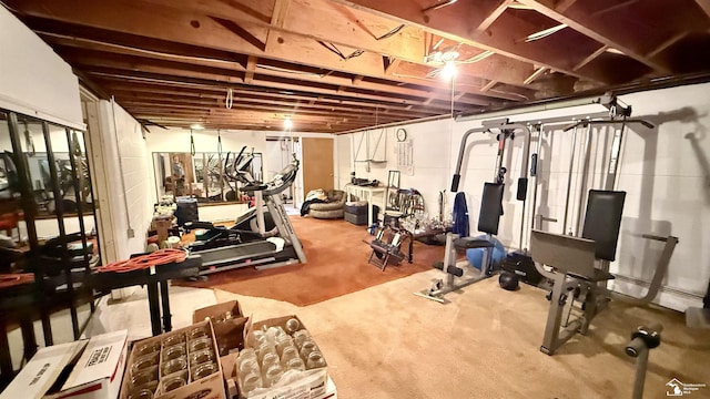 7736 S Custer Rd, Monroe, MI 48161 - workout area with carpet flooring