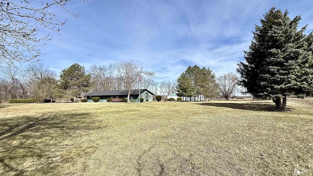 7736 S Custer Rd, Monroe, MI 48161 - view of yard