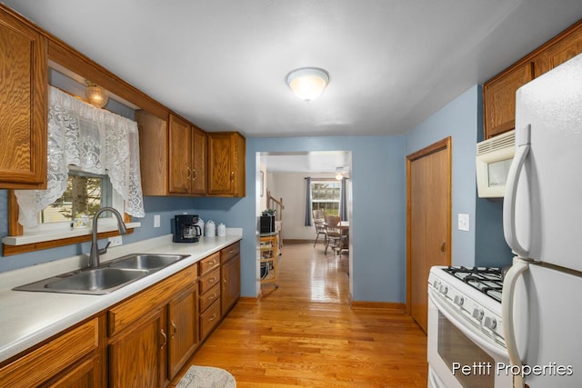 kitchen with brown cabinetry, white appliances, light countertops, a sink, and light wood-style flooring