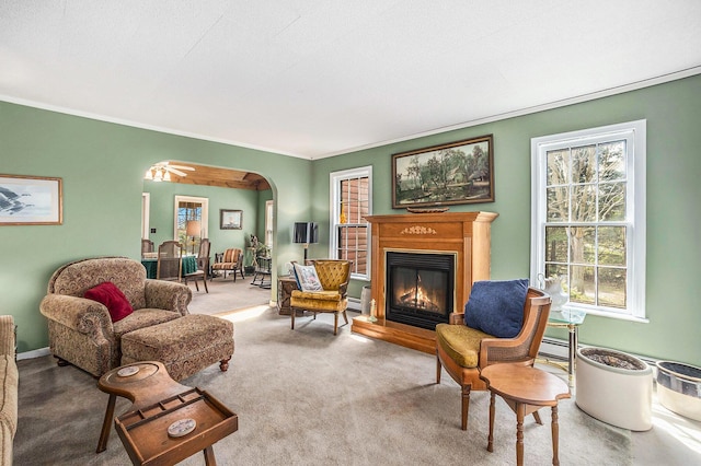 3500 N Oceana Dr, Hart, MI 49420 - living area with carpet flooring, arched walkways, a glass covered fireplace, and a healthy amount of sunlight