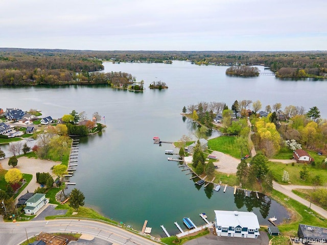 1319 Rochester Rd, Leonard, MI 48367 - drone / aerial view of a nearby body of water