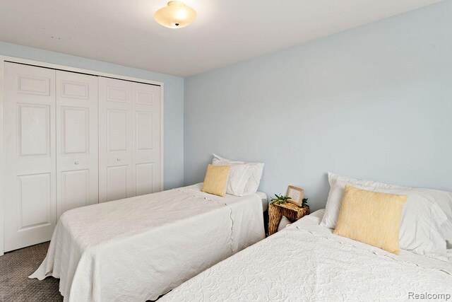 1319 Rochester Rd, Leonard, MI 48367 - bedroom with carpet floors and a closet