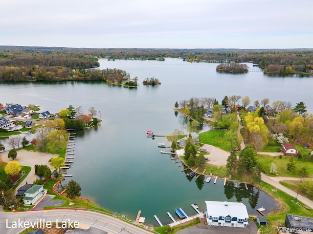 1319 Rochester Rd, Leonard, MI 48367 - drone / aerial view of a large body of water
