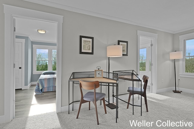 carpeted dining space with baseboards, ornamental molding, and wood finished floors