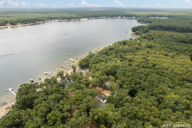 bird's eye view with a water view and a forest view