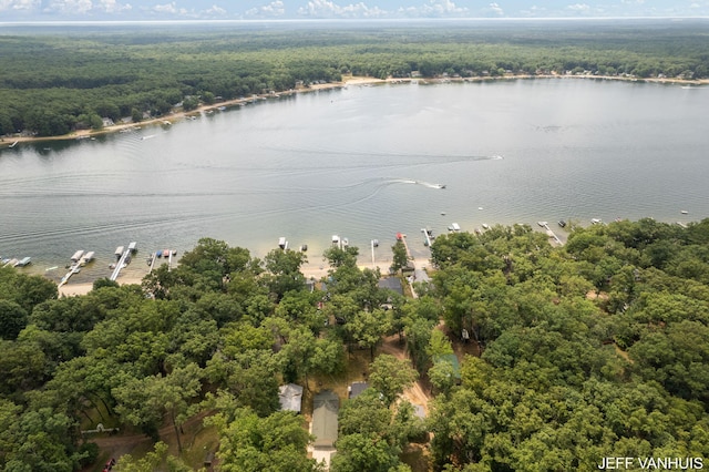 bird's eye view with a water view and a wooded view