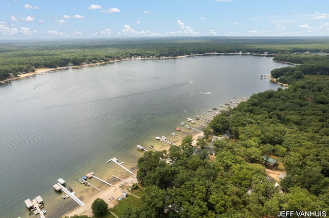 birds eye view of property with a water view and a view of trees