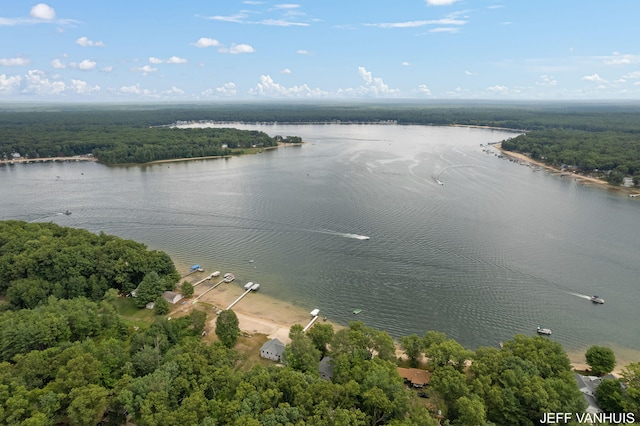 aerial view with a water view and a view of trees