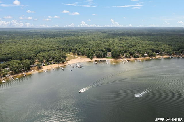 birds eye view of property featuring a water view and a forest view