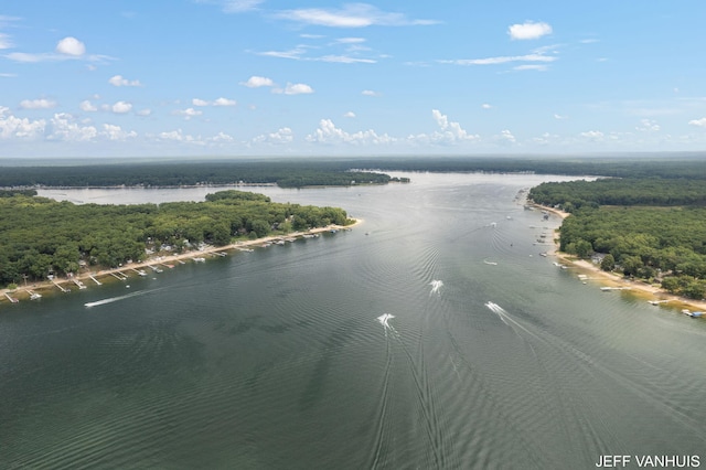 birds eye view of property featuring a water view and a forest view