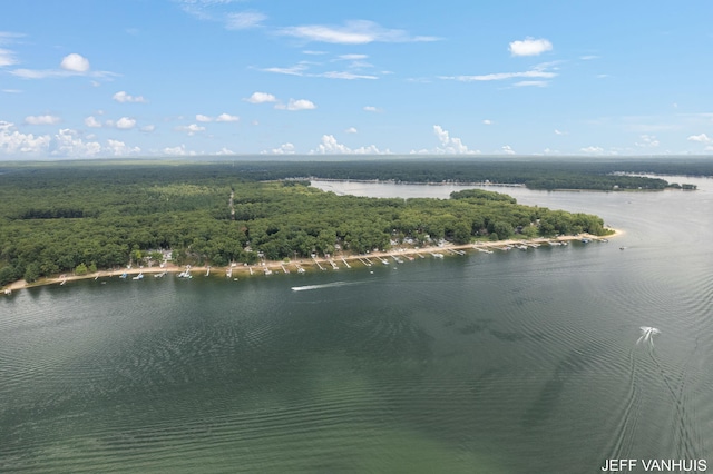 birds eye view of property with a water view and a forest view