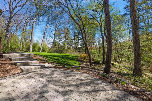 view of home's community with a lawn and a patio