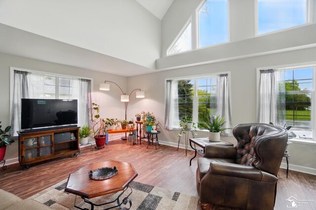 3325 Saint Anthony Rd, Temperance, MI 48182 - living area featuring wood finished floors, baseboards, and high vaulted ceiling