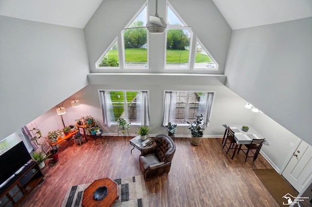 3325 Saint Anthony Rd, Temperance, MI 48182 - living room featuring high vaulted ceiling, wood finished floors, and baseboards
