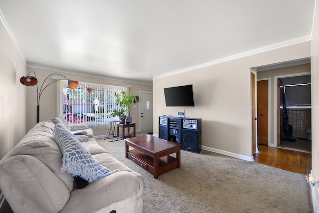 living area featuring ornamental molding, baseboards, and carpet flooring