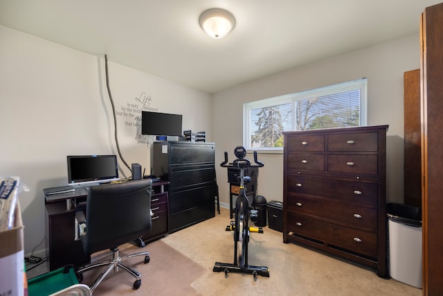 office with light colored carpet