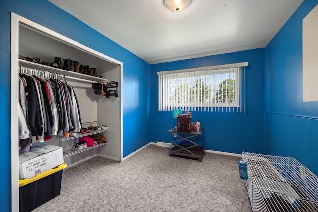 carpeted bedroom featuring a closet