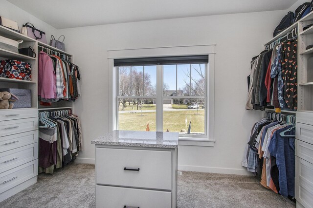 46140 Finch St, Mattawan, MI 49071 - walk in closet with light colored carpet