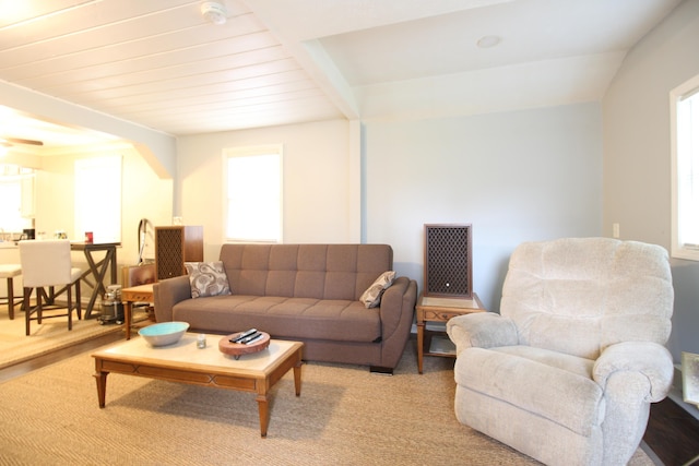 living room with a healthy amount of sunlight