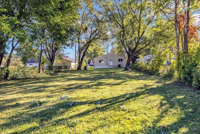 37451 Carpathia Blvd, Sterling Heights, MI 48310 - view of yard