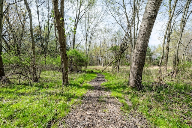 view of street with a wooded view