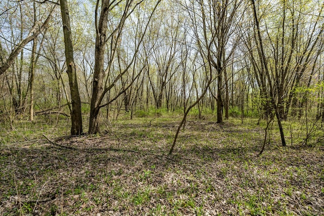 view of landscape featuring a forest view