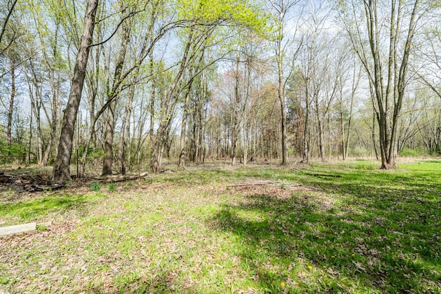 view of yard featuring a view of trees