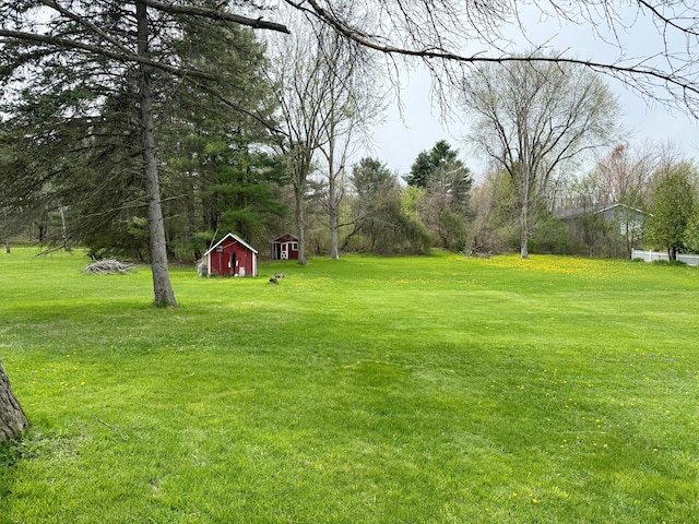view of yard with an outdoor structure and a shed