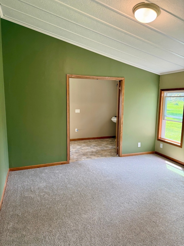carpeted empty room with crown molding, a textured ceiling, and baseboards