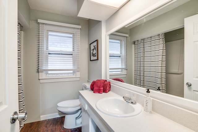 17215 Warrington Dr, Detroit, MI 48221 - bathroom with vanity, wood finished floors, a healthy amount of sunlight, and toilet