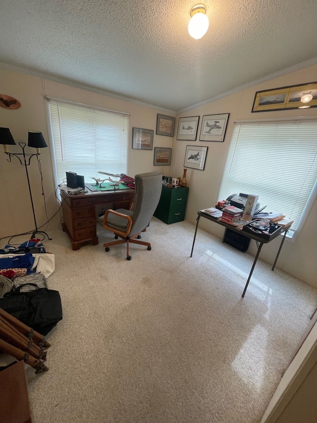 office with crown molding, a textured ceiling, carpet, and lofted ceiling